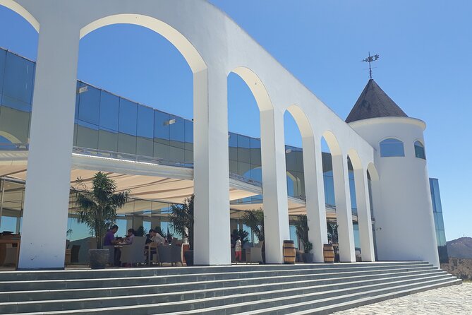 Casablanca Valley: Premium Wine Tour with LGBT+ Guide - Three Hours at the Vineyard of Your Choice