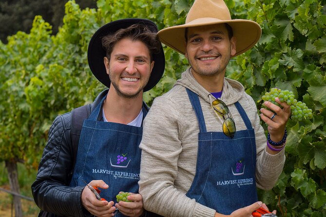 Casablanca Valley: Premium Wine Tour with LGBT+ Guide - What Makes the LGBT+ Guide Important