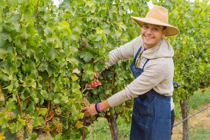 Casablanca Valley: Premium Wine Tour with LGBT+ Guide - Who Will Enjoy This Experience Most?
