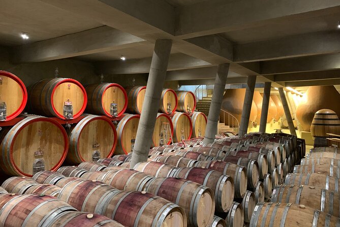 Casablanca Valley: Premium Wine Tour with LGBT+ Guide - Booking and Cancellation Advice