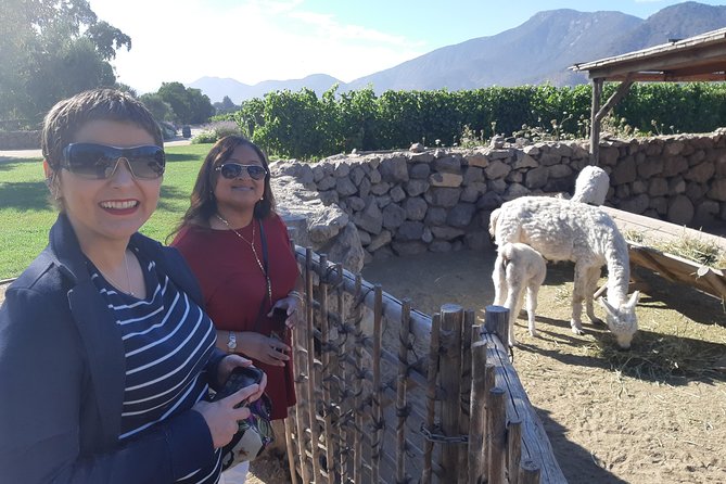 Casablanca Valley Wine tour + Valparaiso (small group tour) - Port views and a famous funicular at Paseo 21 de Mayo