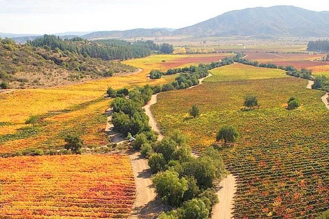 Casablanca Wine Tour with Valparaiso and Viña del Mar - Concón Dunes and the first Pacific views