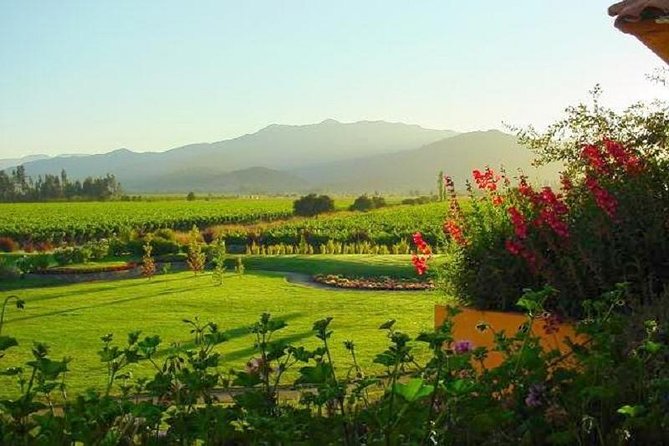 Casablanca Wine Tour with Valparaiso and Viña del Mar - Viña del Mar in three quick stops