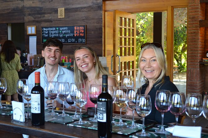 Casablanca world class wines, 4 vineyards & Tanino lunch stop - Why Casablanca Valley makes a good day from Santiago