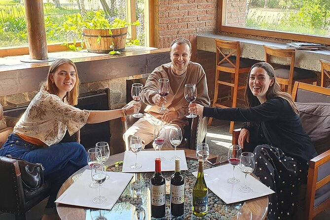 Casablanca world class wines, 4 vineyards & Tanino lunch stop - The pace, vehicle, and guide make a difference