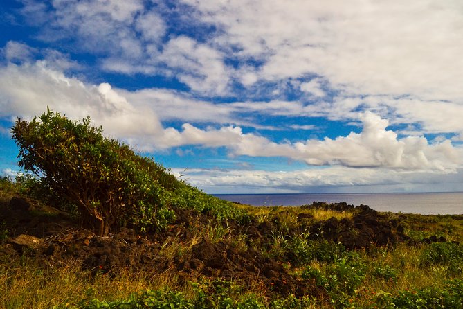 Caves and Lava Fields: Half Day Hike - What the private guide adds