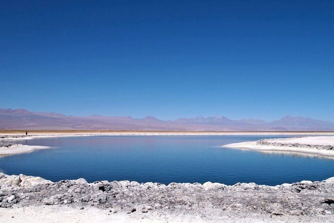 Cejar Lagoon and Ojos del Salar with Tebinquiche Tour - Cooling off at the Ojos del Salar