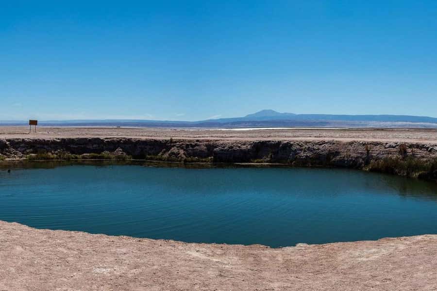CEJAR LAGOON, SALT EYES AND TEBINQUINCHE LAGOON - Key Details Before You Book