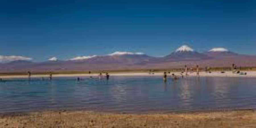 CEJAR LAGOON, SALT EYES AND TEBINQUINCHE LAGOON - Why These Atacama Lagoons Are Worth Your Time