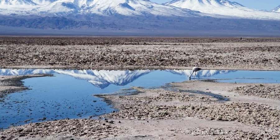 CEJAR LAGOON, SALT EYES AND TEBINQUINCHE LAGOON - Ojos del Salar: Freshwater in the Desert