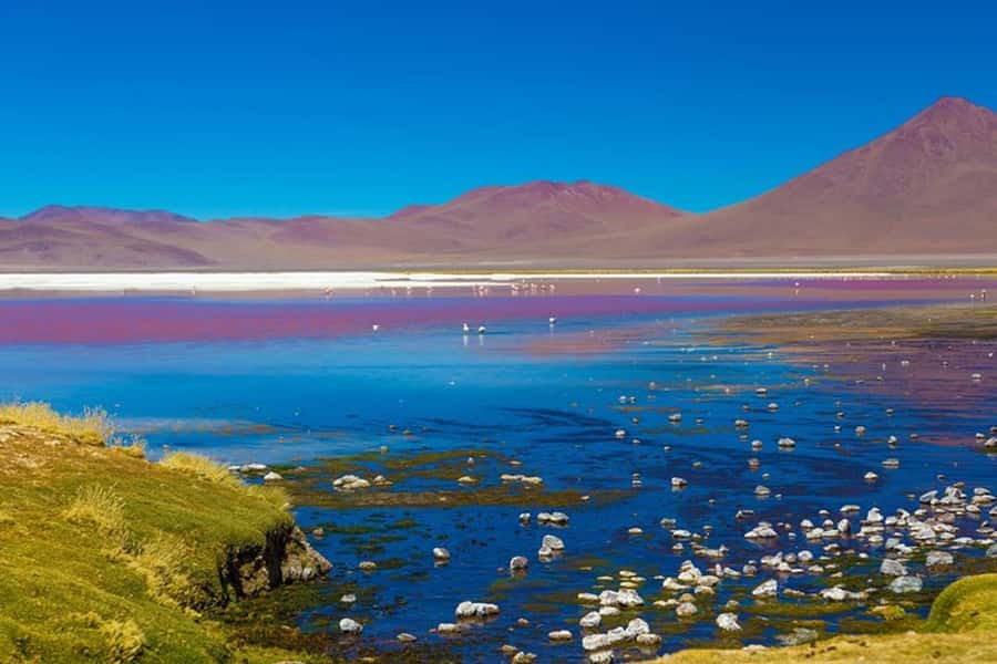 CEJAR LAGOON, SALT EYES AND TEBINQUINCHE LAGOON - What the $59 Price Really Covers