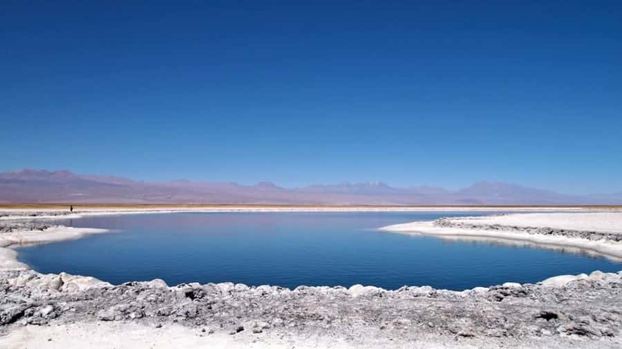 Cejar Lagoon, Tebenquiche Lagoon and Ojos del Salar - Quick points before you book