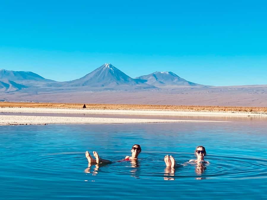 Cejar Lagoon Tour: San Pedro de Atacama - Key points to know before you go