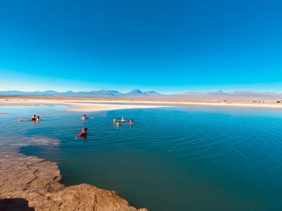 Cejar Lagoon Tour: San Pedro de Atacama - Why this half-day Atacama outing works