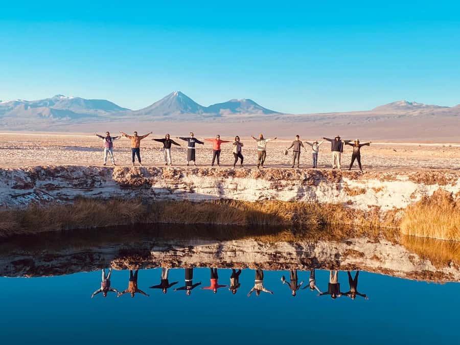 Cejar Lagoon Tour: San Pedro de Atacama - Ojos del Salar: two pools in a salt basin