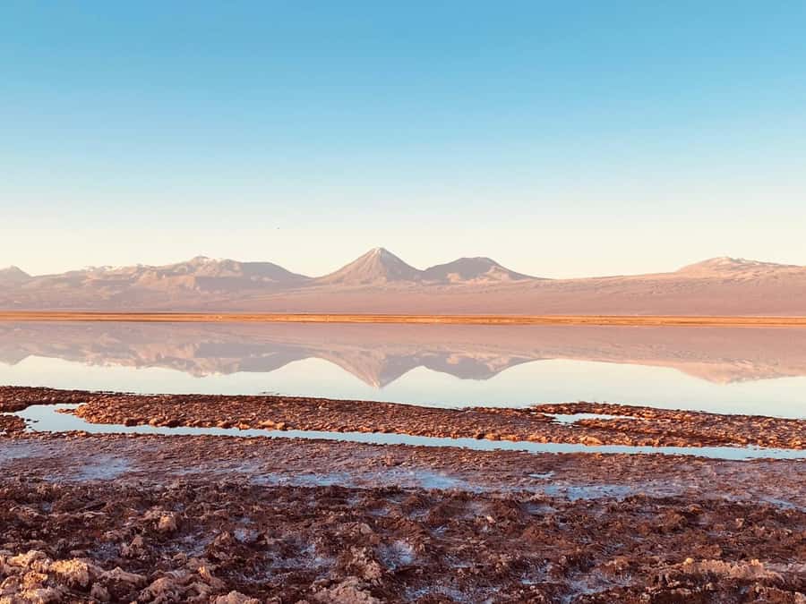 Cejar Lagoon Tour: San Pedro de Atacama - Cejar Lagoon: your first taste of floating