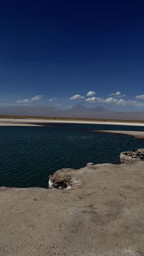 Cejar & Tebenquiche Lagoons Tour with Ojos del Salar Atacama - Key points to know before you book