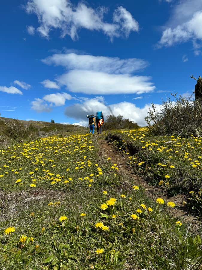 Cerro Castillo: Patagonia Mountain Trekking to the Lagoon - Reaching Cerro Castillo Lagoon