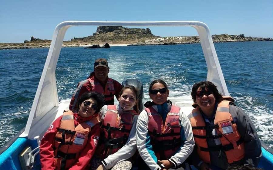 Chañaral de Aceituno boat ticket - Key points at a glance