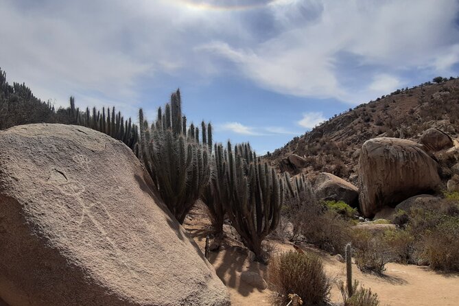 Charm Valley Archaeological Tour, Shamanism and Petroglyphs - Key points before you book