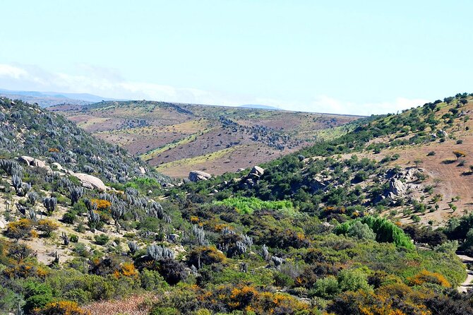 Charm Valley Archaeological Tour, Shamanism and Petroglyphs - Why Valle del Encanto deserves your time