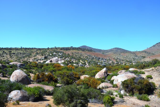 Charm Valley Archaeological Tour, Shamanism and Petroglyphs - A Chilean lunch in Ovalle