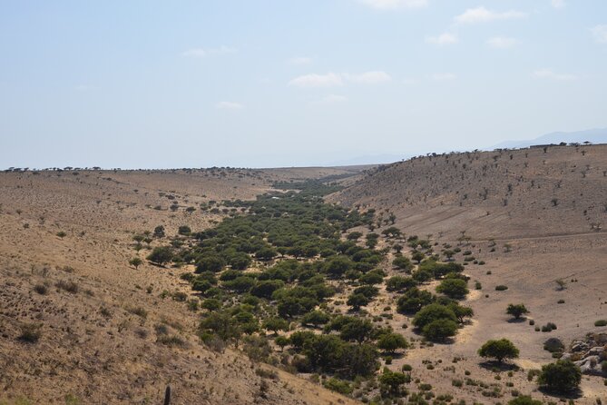 Charm Valley Archaeological Tour, Shamanism and Petroglyphs - Is $175 a fair price?
