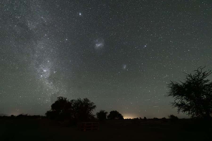 Chile: Astronomical Tour in the Atacama Desert - Who will enjoy this night most