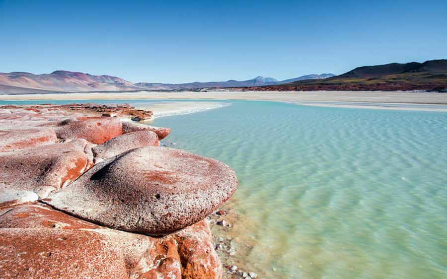 Chile: Tour Red stones + Altiplanic Lagoons + Laguna Chaxa - Key points to know before booking