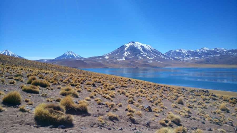 Chile: Tour Red stones + Altiplanic Lagoons + Laguna Chaxa - A full day from salt flats to high volcanoes