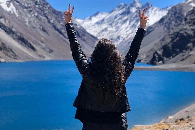 Chilean Alpes: Portillo & the Inca Lagoon - Food, animals, and the stops between major sights