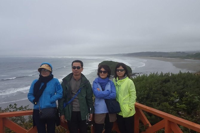 Chiloe Island - Puñihuil Tour - A long beach and the open Pacific