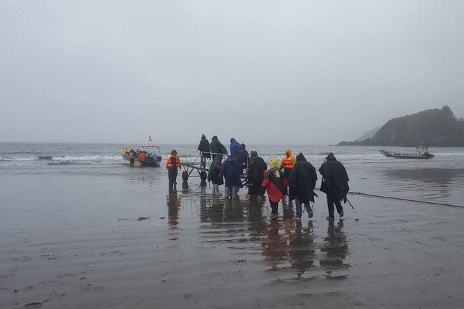 Chiloe Island - Puñihuil Tour - The guide and driver can shape the experience