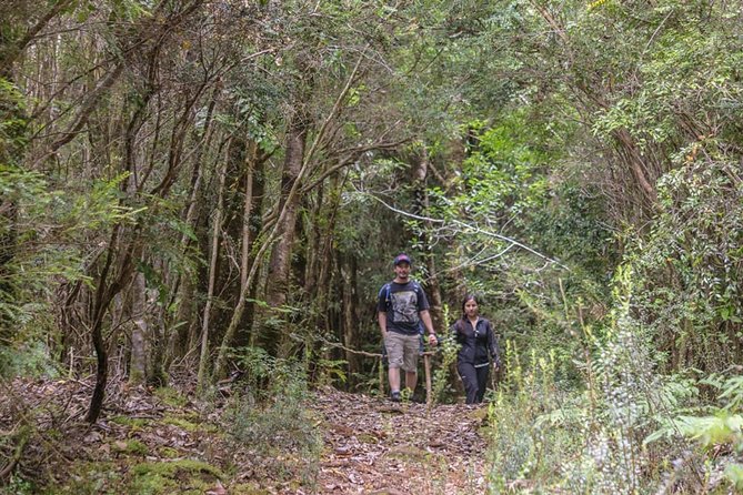 Chiloe National Park and Chonchi "Darwin Route" - Key Points to Know Before You Go