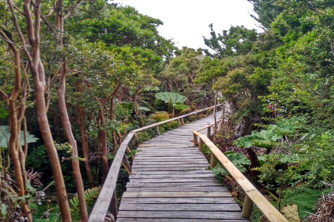 Chiloe National Park and Chonchi "Darwin Route" - El Tepual Trail in Chiloé National Park