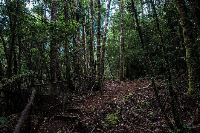 Chiloe National Park and Chonchi "Darwin Route" - Huillinco and the Meeting of Two Lakes