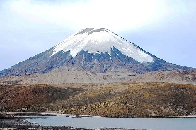 Chungará Lake & Lauca Park Tour from Arica with Lunch - Why this Arica day trip is worth considering