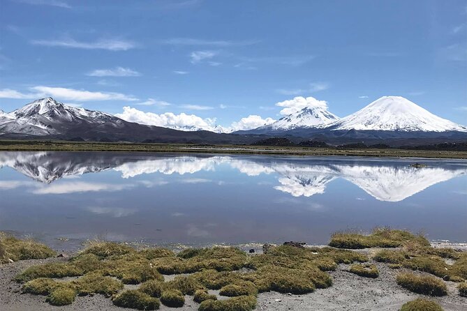 Chungará Lake & Lauca Park Tour from Arica with Lunch - Putre brings lunch and a village visit