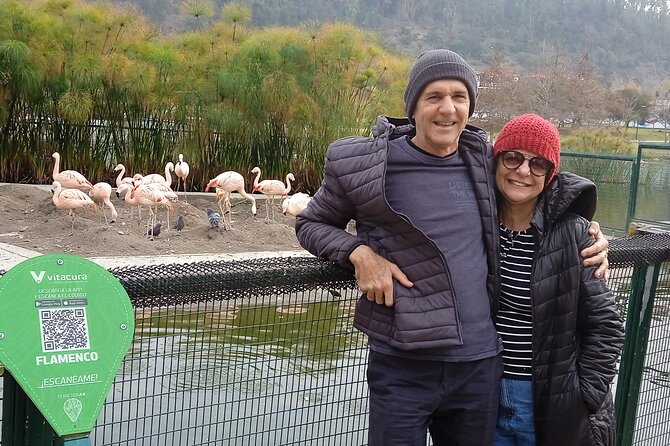 City tour by Santiago of Chile -A beautiful experience - Half day - Why this half-day route works for first-time visitors