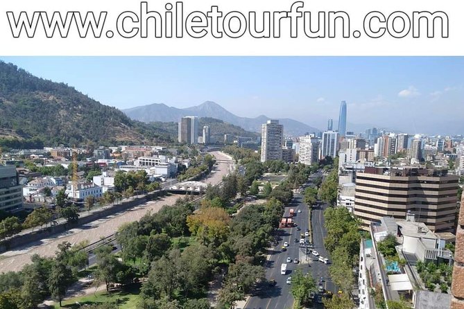 City Tour Santiago plus Santa Rita Vineyard - Central Market, Bellavista, and the modern city