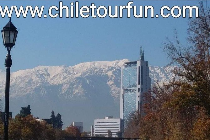City Tour Santiago plus Santa Rita Vineyard - The vineyard visit and included wine tasting