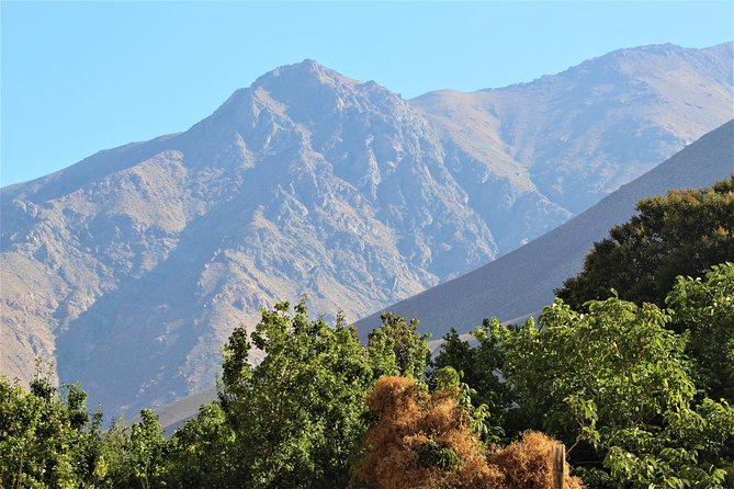 Classic Elqui Valley (Between vineyards and fruit trees) - Vicuña, Mistral, and the character of a small Chilean town