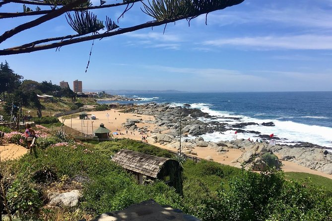 Coastal Charms and Vineyard Bliss with Isla Negra & Undurraga - Why the vineyard changes the day