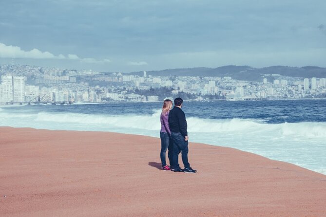 Coastal Gems: Viña del Mar & Valparaíso - Is $95 a fair price?
