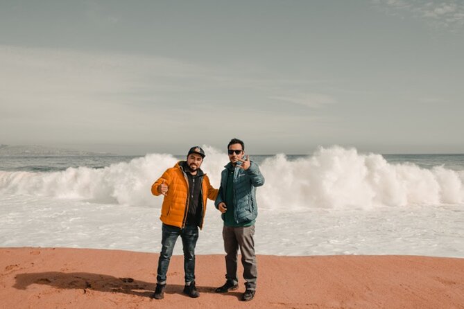 Coastal Gems: Viña del Mar & Valparaíso - Viña del Mar: beaches, lunch, and a polished seaside stop
