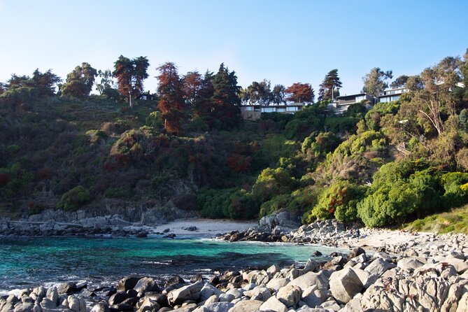 Coastal Hike in Zapallar and Cachagua Nature and Gastronomy - Why leave Santiago for Zapallar and Cachagua?