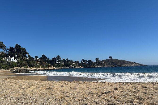 Coastal Hike in Zapallar and Cachagua Nature and Gastronomy - Lunch and the coastal table