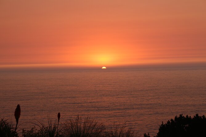 Coastal Hike in Zapallar and Cachagua Nature and Gastronomy - Playa Las Cujas: a small cove between larger beaches