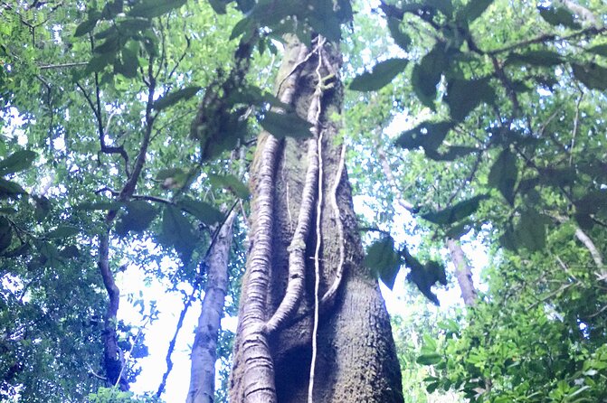 Cochamo Hike Day trip. - Who Will Like This Hike Most