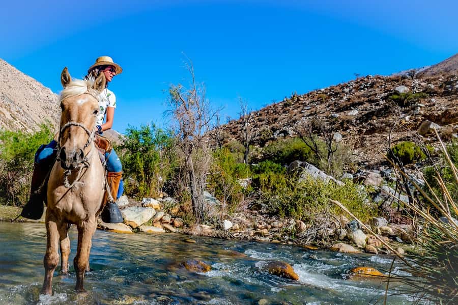 Cochiguaz: Horseback Riding, River and Mountain Range - Key points at a glance